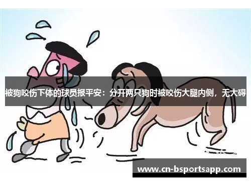 被狗咬伤下体的球员报平安：分开两只狗时被咬伤大腿内侧，无大碍